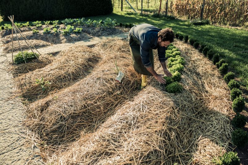 Weeding And Mulching